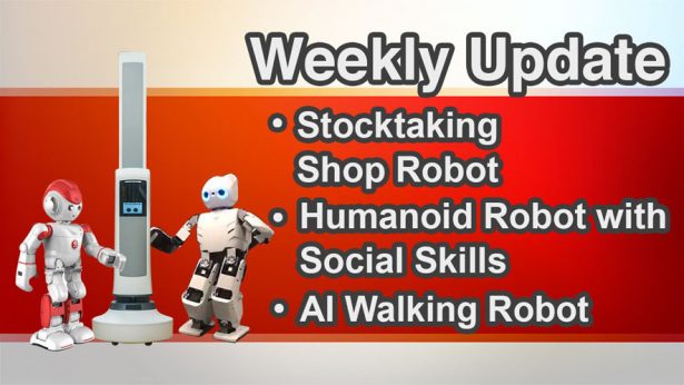 Tally Robot Alpha 2 Humanoid Robot Darwin AI Walking Robot
