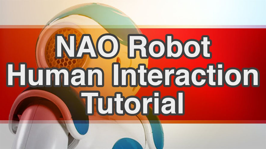 NAO Robot Human Interaction Tutorial